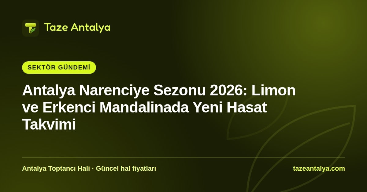 Antalya Narenciye Sezonu 2026: Limon Takvimi, Hal Fiyatları ve Yeni Sezon