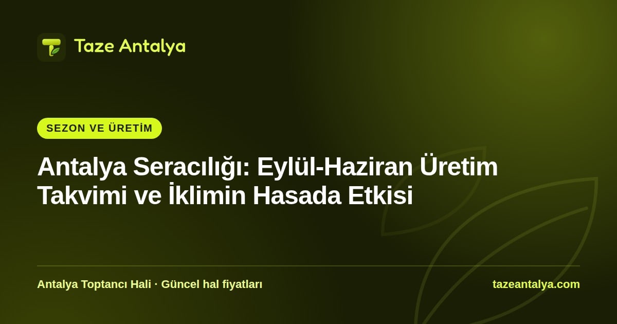 Antalya Seracılığı Üretim Takvimi: Eylül-Haziran Dönemi ve İklimin Hasada Etkisi