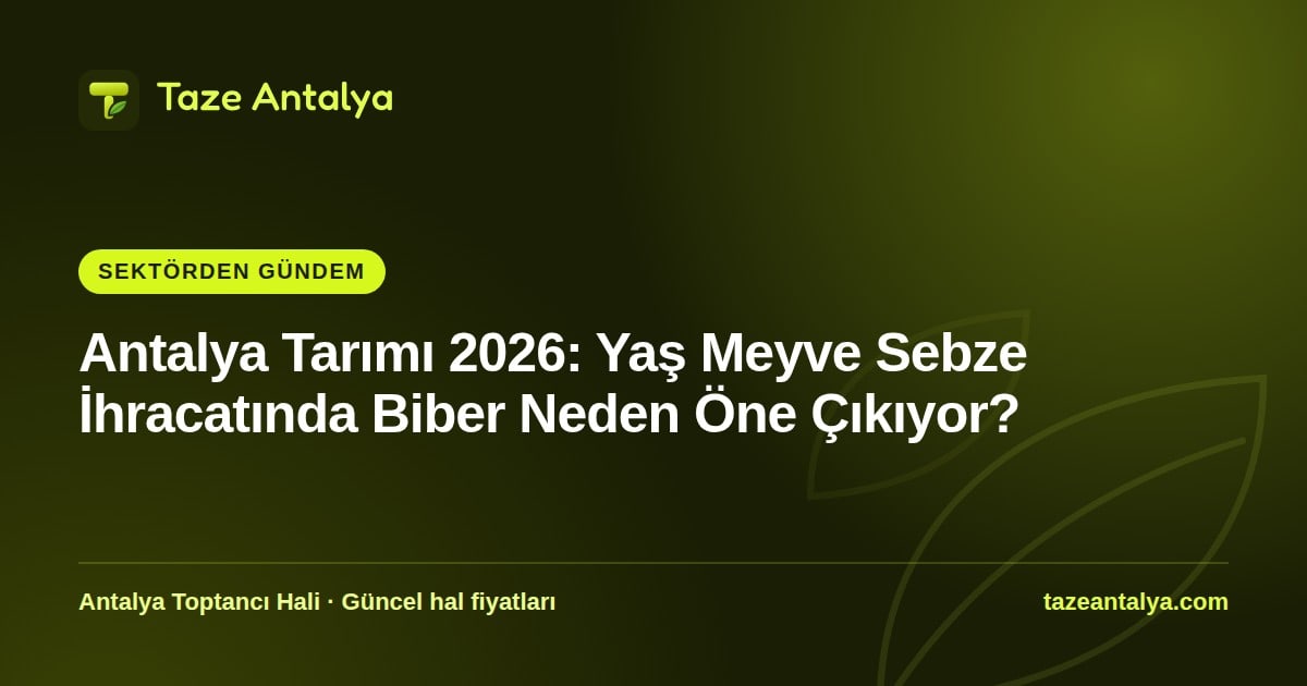 Antalya Yaş Meyve Sebze İhracatı 2026: Biber Neden Öne Çıkıyor?