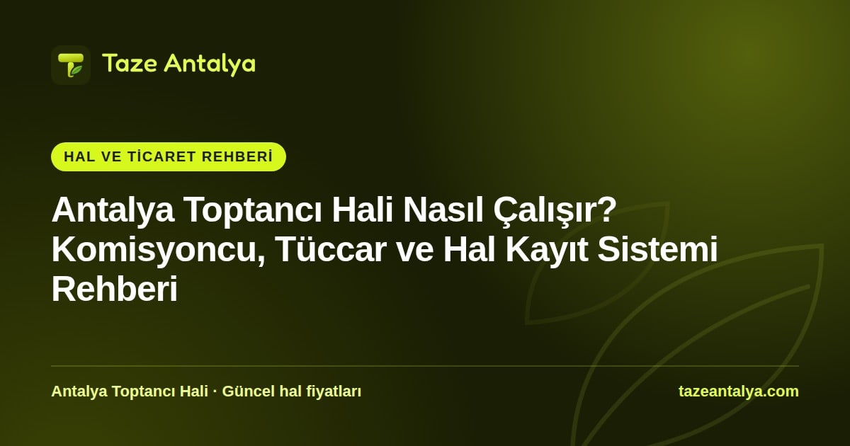 Antalya Toptancı Hali Nasıl Çalışır? Komisyoncu, Tüccar ve Hal Kayıt Sistemi Rehberi