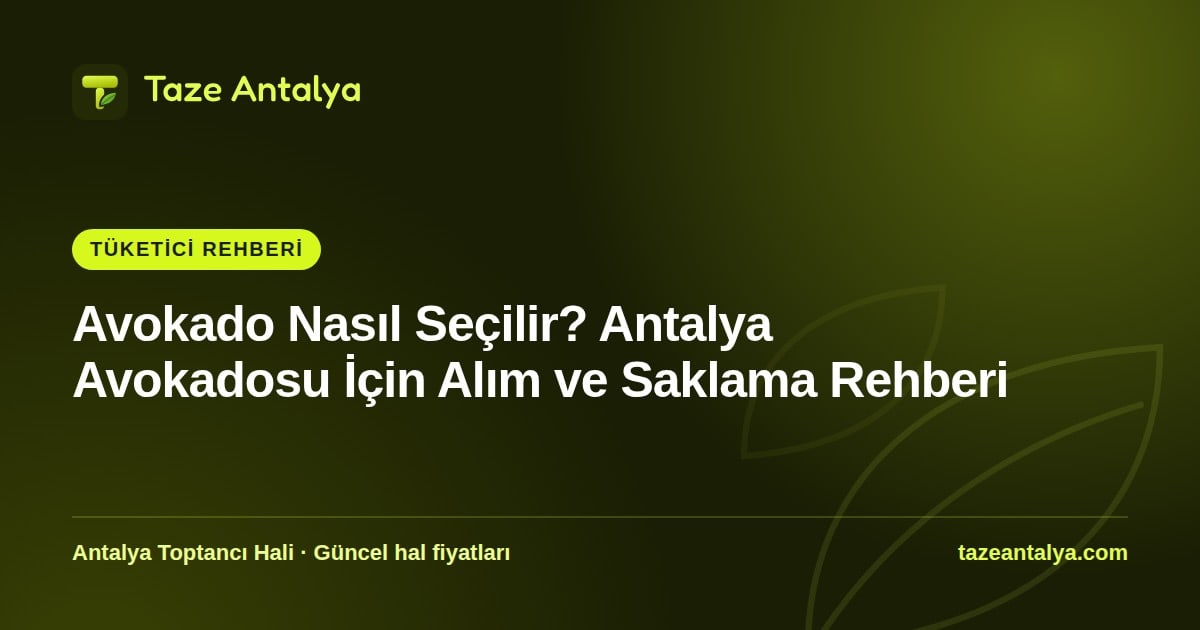 Avokado Nasıl Seçilir? Antalya Avokadosu İçin Alım, Olgunlaştırma ve Saklama Rehberi