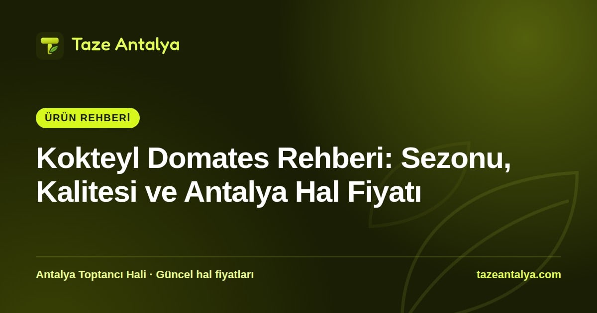Kokteyl Domates Rehberi: Sezonu, Kalitesi ve Antalya Hal Fiyatı