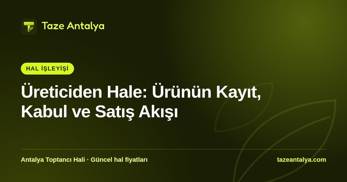 Üreticiden Hale: Ürünün Kayıt, Kabul ve Satış Akışı kapak görseli